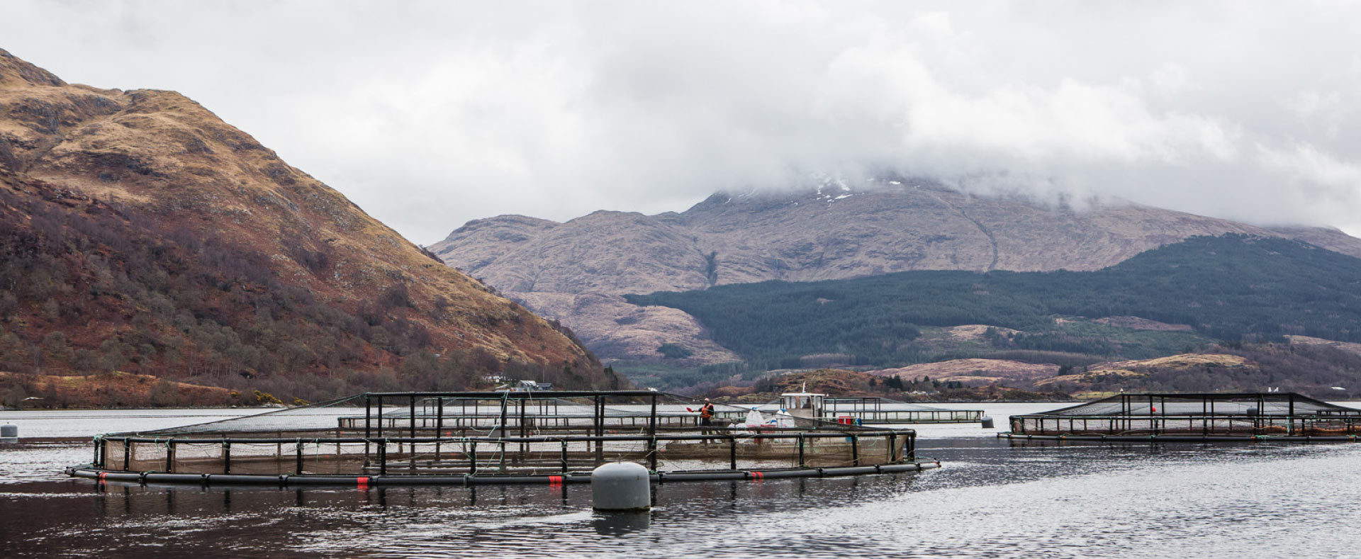 History of Trout Farming British Trout Association
