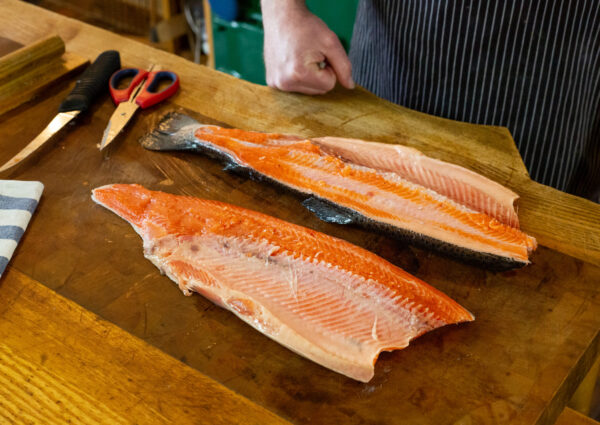 How to Fillet Trout